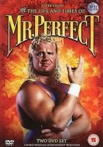 Watch The Life and Times of Mr. Perfect Vumoo