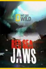 Watch National Geographic Red Sea Jaws Vumoo