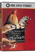 Watch The Natural History of the Chicken Vumoo