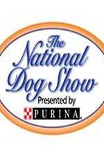 Watch National Dog Show Vumoo