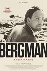 Watch Bergman: A Year in the Life Vumoo