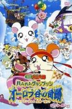 Watch Hamtaro Movie 3: Ham Ham Grand Prix Vumoo