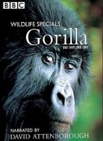 Watch Gorilla Revisited with David Attenborough Vumoo