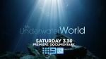 Watch My Underwater World (TV Special 2024) Vumoo