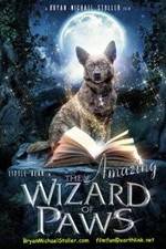 Watch The Amazing Wizard of Paws Vumoo