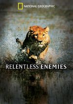 Watch Relentless Enemies Vumoo