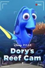 Watch Dory\'s Reef Cam Vumoo