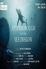 Watch Attenborough and the Sea Dragon Vumoo