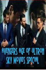Watch Avengers Age of Ultron Sky Movies Special Vumoo