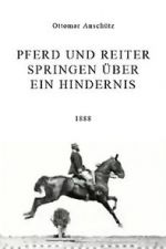 Watch Pferd und Reiter Springen ber ein Hindernis Vumoo