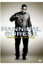Watch Hannibal Buress Animal Furnace Vumoo