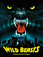 Watch The Wild Beasts Vumoo