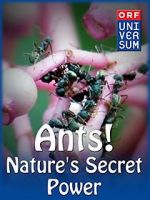 Watch Ants: Nature\'s Secret Power Vumoo