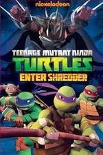Watch Teenage Mutant Ninja Turtles: Enter Shredder Vumoo