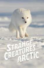 Watch Strange Creatures of the Arctic (TV Special 2022) Vumoo