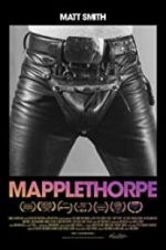 Watch Mapplethorpe Vumoo
