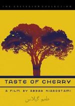 Watch Taste of Cherry Vumoo