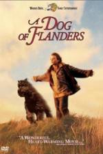 Watch A Dog of Flanders Vumoo