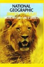 Watch National Geographic: Walking with Lions Vumoo