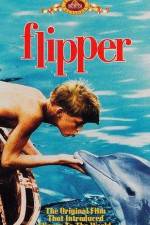 Watch Flipper Vumoo