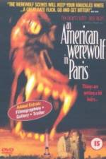 Watch An American Werewolf in Paris Vumoo