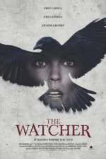 Watch The Ravens Watch Vumoo