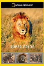 Watch National Geographic: Super Pride  Africa's Largest Lion Pride Vumoo