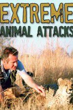 Watch Extreme Animal Attacks Vumoo