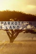 Watch Nature Parrots in the Land of Oz Vumoo