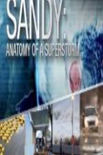 Watch Sandy Anatomy Of A Superstorm Vumoo