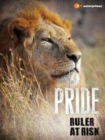 Watch Pride - Ruler\'s at Risk Vumoo