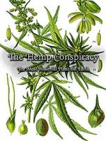 Watch The Hemp Conspiracy: The Most Powerful Plant in the World (Short 2017) Vumoo