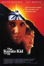 Watch The Karate Kid, Part III Vumoo