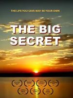 Watch The Big Secret Vumoo