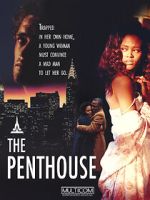 Watch The Penthouse Vumoo