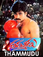 Watch Thammudu Vumoo