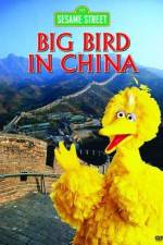 Watch Big Bird in China Vumoo