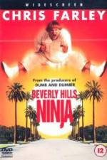Watch Beverly Hills Ninja Vumoo