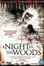 Watch A Night in the Woods Vumoo