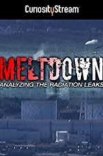 Watch Meltdown: Analyzing the Radiation Leaks Vumoo