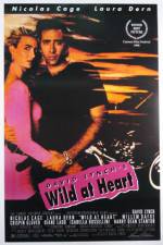 Watch Wild at Heart Vumoo