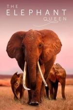 Watch The Elephant Queen Vumoo