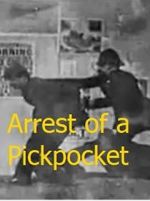 Watch The Arrest of a Pickpocket Vumoo