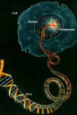 Watch Horizon: Miracle Cure? A Decade of the Human Genome Vumoo