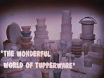 Watch The Wonderful World of Tupperware (Short 1965) Vumoo