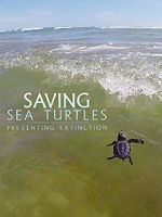 Watch Saving Sea Turtles: Preventing Extinction Vumoo