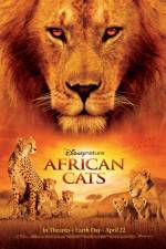 Watch African Cats Vumoo