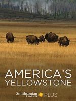 Watch America\'s Yellowstone Vumoo