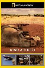 Watch National Geographic Dino Autopsy ( 2010 ) Vumoo