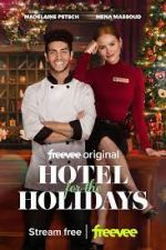 Watch Hotel for the Holidays Vumoo